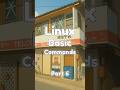 Linux Basic Commands | Part 6  #cybersecurity #linuxcommandlinetutorial #commands #linuxtutorials
