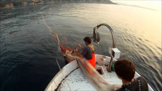 Komiški ribari, otok Vis