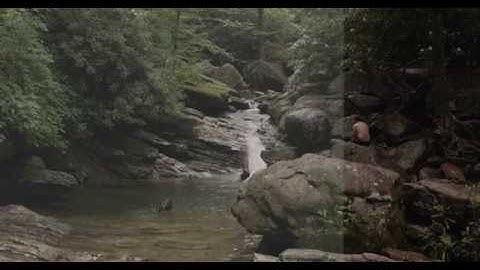 Canon 5D Mark IV C-LOG upgrade 4k - Grade