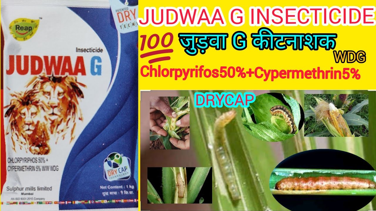 जुड़वा जी कीटनाशक।।JUDWAA G INSECTICIDE।। Judwaa G insecticide ...