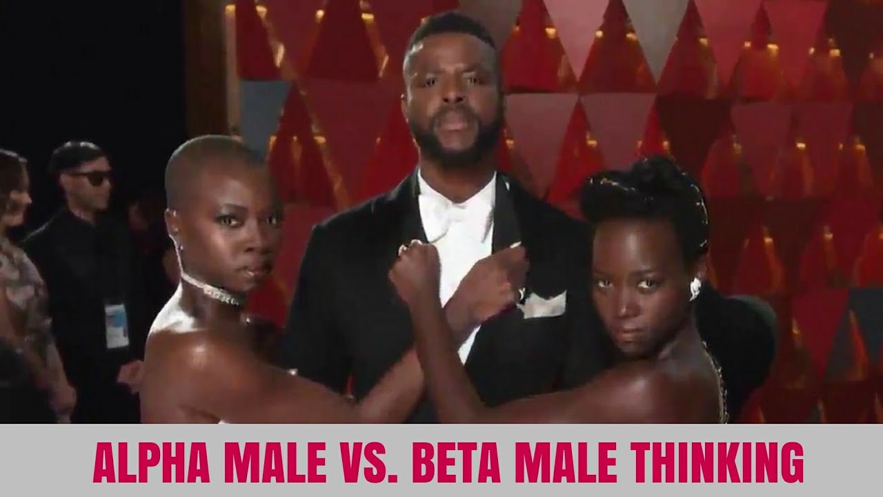 ALPHA MALE VS. BETA MALE THINKING - YouTube.