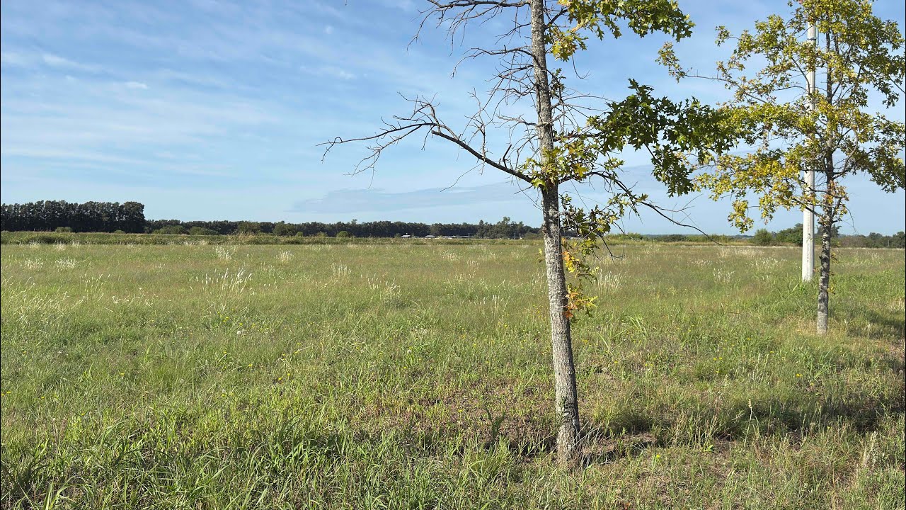 Venta de Lote en Lago de Obligado San Pedro