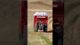 Ciğer Power Massey Ferguson 285s