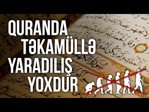 Video: Paleontologiya təkamülü necə dəstəkləyir?