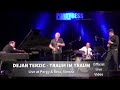 Dejan terzic  traum im traum  official live vienna 2014