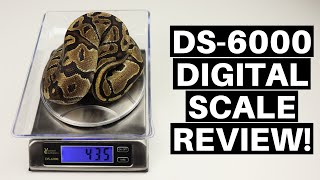 Celebrity Vivarium Electronics DS-6000 Digital Scale Review! - Benjamin's Exotics Profile