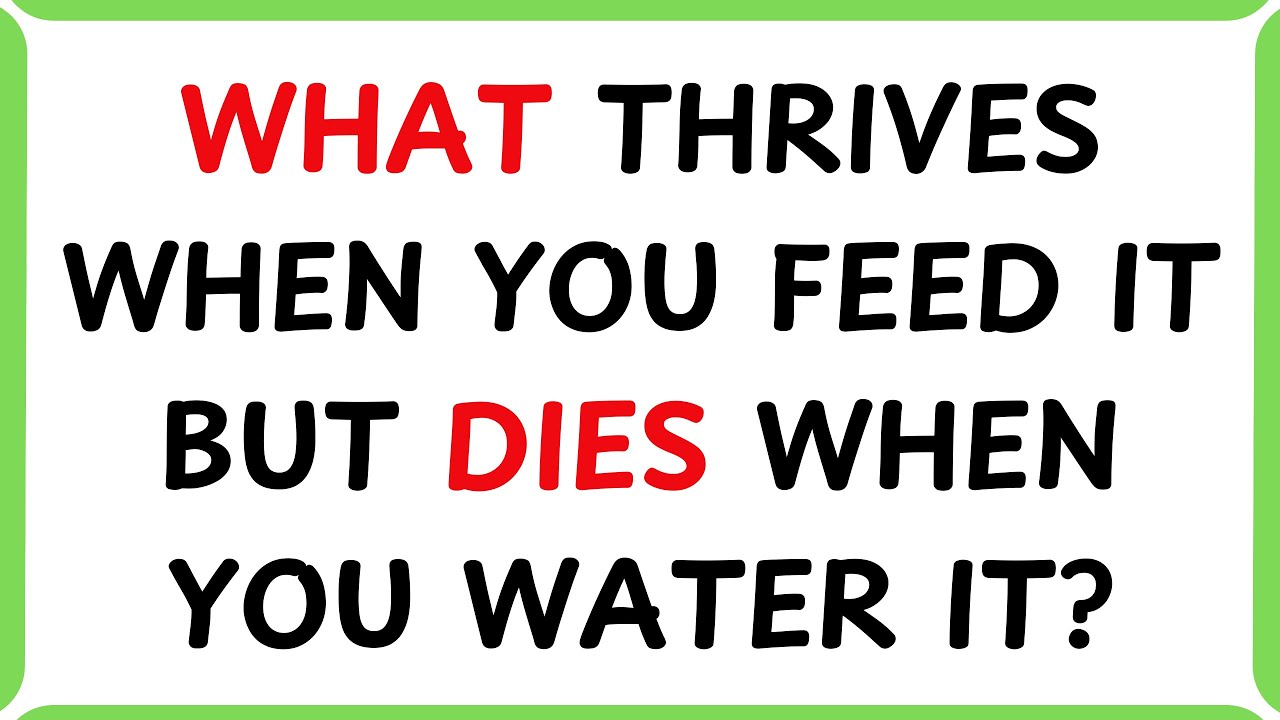 ONLY SMART PEOPLE SOLVE THESE RIDDLES 🧩 | 20 TRICKY QUESTIONS THAT WILL ...