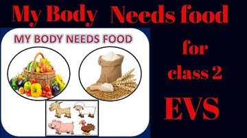 Class-2 EVS || Lesson -3 My Body  Needs  food||