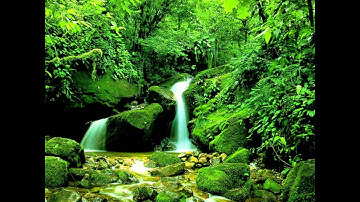 صوت يبكي الحجر خالد الجليل اجمل قراءة للقرآن الكريم