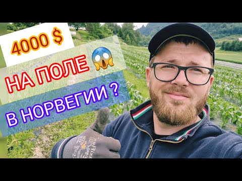 Сезонная Работа в Норвегии & Сколько Платят? & Кому Подойдут Сезонные Работы в Норвегии ?