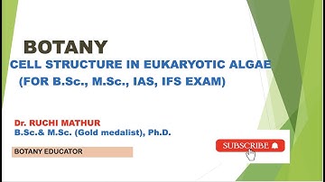 Cell Structure in Algae// Cell structure in Eukaryotic Algae
