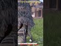 1 vs 2 nusa gameplay 🥵 #bgmi