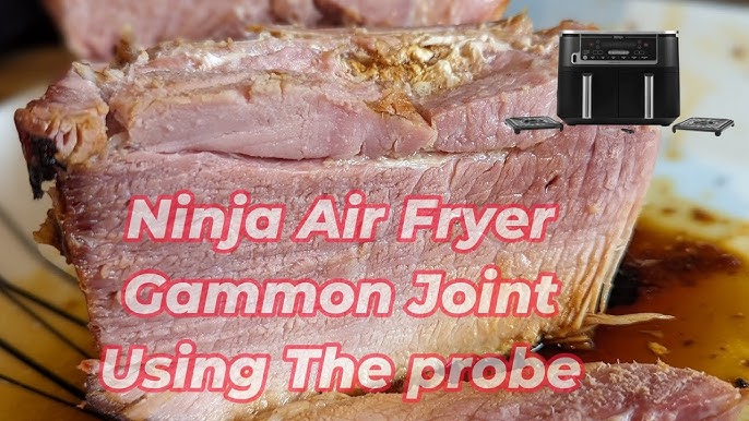 how to use the meat thermometer in a ninja air fryer｜TikTok Search