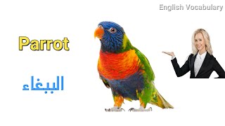 أسماء الطيور باللغة الإنجليزية مع النطق - Bird names in English #تعلم_اللغة_الانجليزية