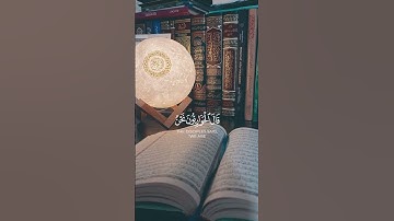 سورة الصف {الآية 14} بصوت الشيخ ياسر الدوسري ❤️💖