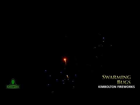 Swarming Bugs