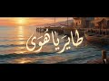 طاير يا هوا       