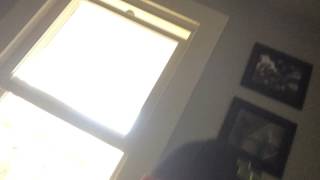 Brushing Rubys Teeth