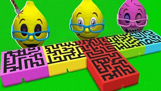 Ms LemonS NOOB vs PRO vs HACKER In 100 YEARS in Minecraft Animation LIFE SIMULATOR LEVELS 1-100 2