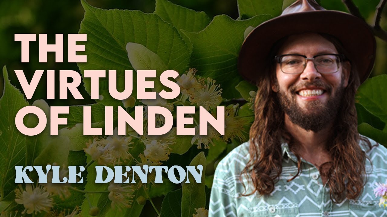 LINDEN: Benefits & Astrological Attributes | Kyle Denton - YouTube