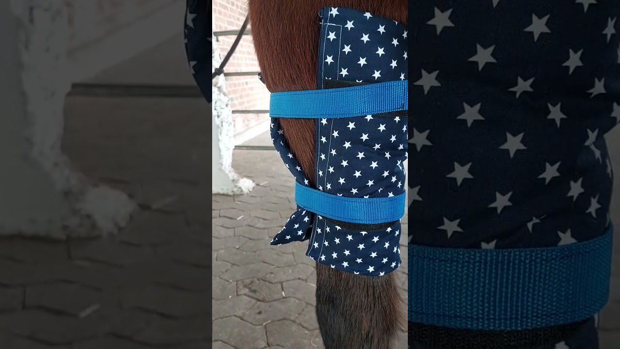 Dinkelspelz Wärmebandagen ☆Stallgamaschen für die Pferdebeine ☆ Hufeisen Lesezeichen