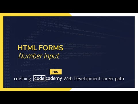 Crushing Codecademy PRO WEB DEVELOPMENT career path Challenge - Number Input