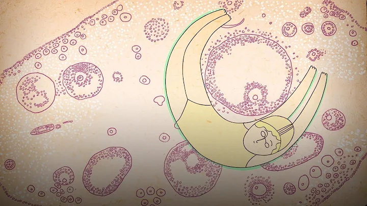 What really happens to your body during menopause ...