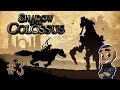 Shadow of the Colossus HD | Part 3 | COLOSSUS IV - PHAEDRA [Remastered PS3 Gameplay Walkthrough]
