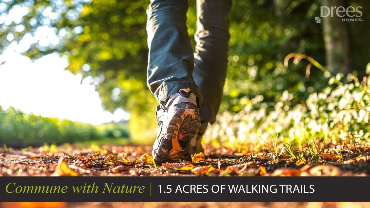 Crooked Tree Preserve in Mason, OH YouTube