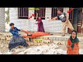 A chaotic life: the first wife's wickedness against the second wife, her husband, and the carpenter