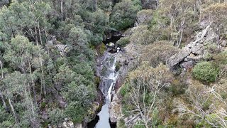 Discovering A Hidden High Country Gem! Licola Fishing Adventure