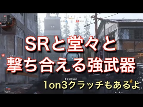 【COD:MW実況】SRと堂々と撃ち合える強武器。ほしたぬきのサーチアンドデストロイPart65
