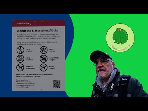 Laichgewässerschutz in Heidelberg