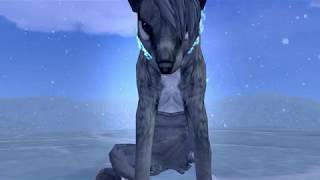 [FERAL HEART] - If i killed someone for you - Mini-clip