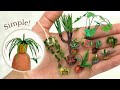 11 in 1 easy dollhouse miniature plants for dollhouse or diorama