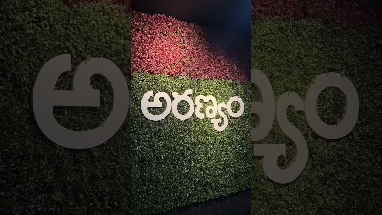 Best themed restaurant in warangal.