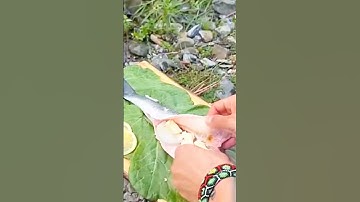 Nướng cá suối cho gia đình thưởng thức - tronpiu vlog #shorts