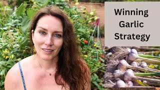Grow Amazing Garlic in Arizona