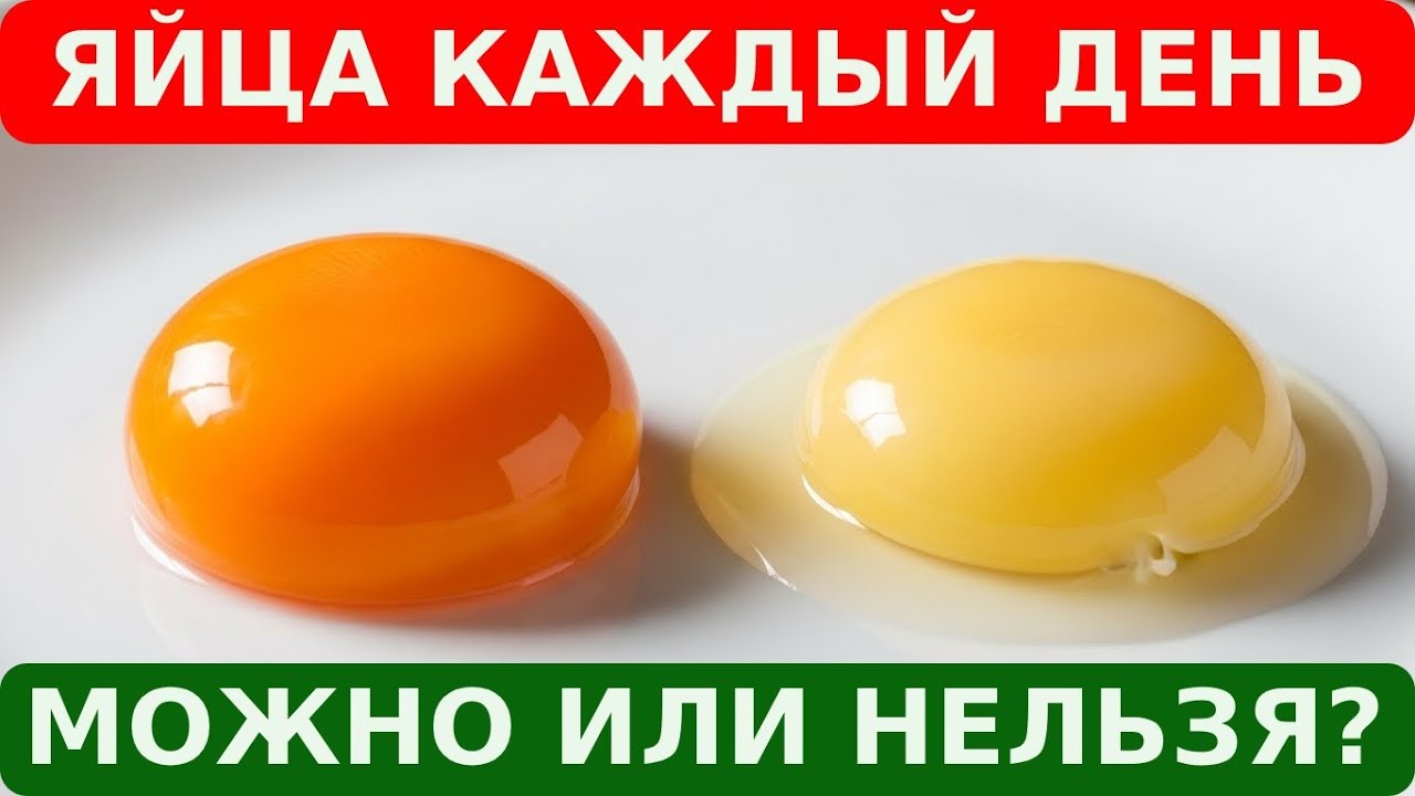 💥МОЖНО ли ЕСТЬ ЯЙЦА каждый день? Полный разбор