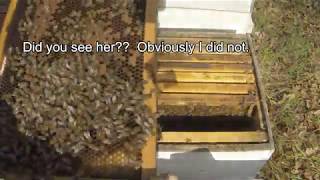 Reversing Hive Brood Boxes