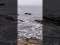 The power of the ocean - Ocean - Wild Ocean - Cabo Verde - Sal