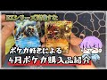 【ポケカ】大文字EXがカッコよすぎる！4月購入品紹介と雑談#ポケカ #ポケモンカード 