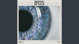 Iris (Cinematic Version) - Jay Putty & Matt Macleod