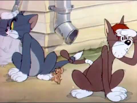 Tom & Jerry  - Sufferin' Cats  - Season 1   Episode 9 Part 2 of 3