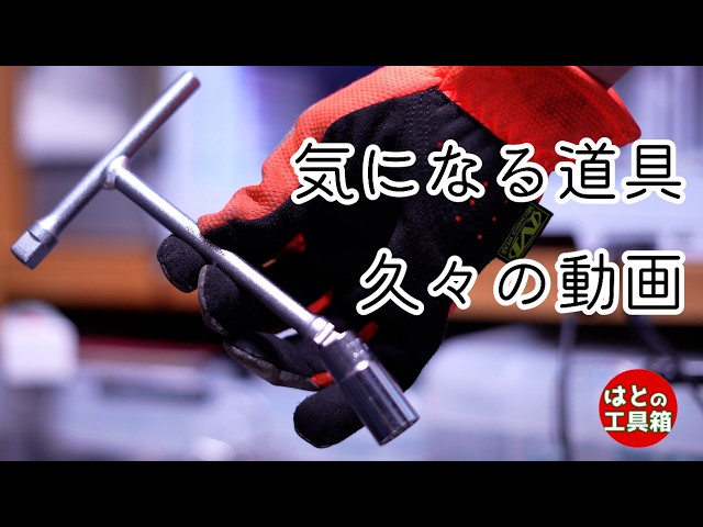 Tools I'm Curious About and a Recent Life Update [Tool