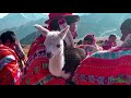 Ceremonia de Llamas 🦙🦙