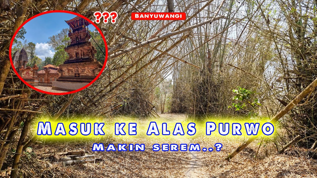 Masuk ke ALAS PURWO, Betulkah Suasananya MENYERAMKAN??