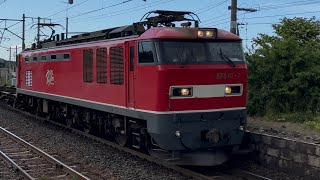 EF510-7 🟥⚡️レッドサンダー 2082レ 下田駅 20260610 #EF510 #レッドサンダー