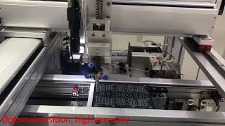 Celebrity Multi-Axis Screw Drive Linear Actuator System Profile