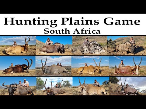 Hunting South Africa with Huntershill Safaris -  2021